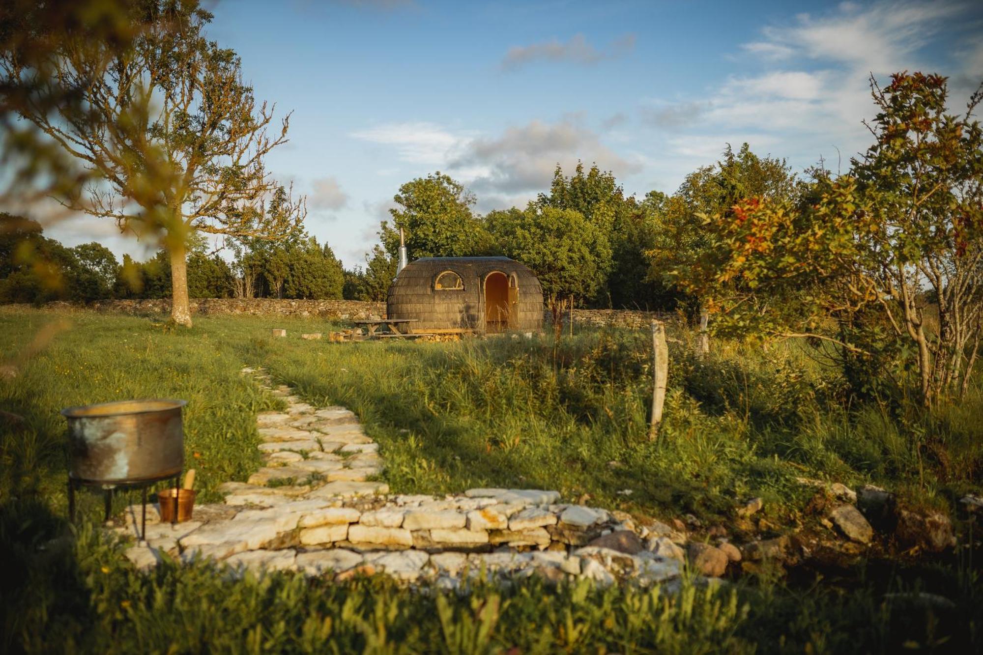 Viešbutis Pilguse Residency Jogela