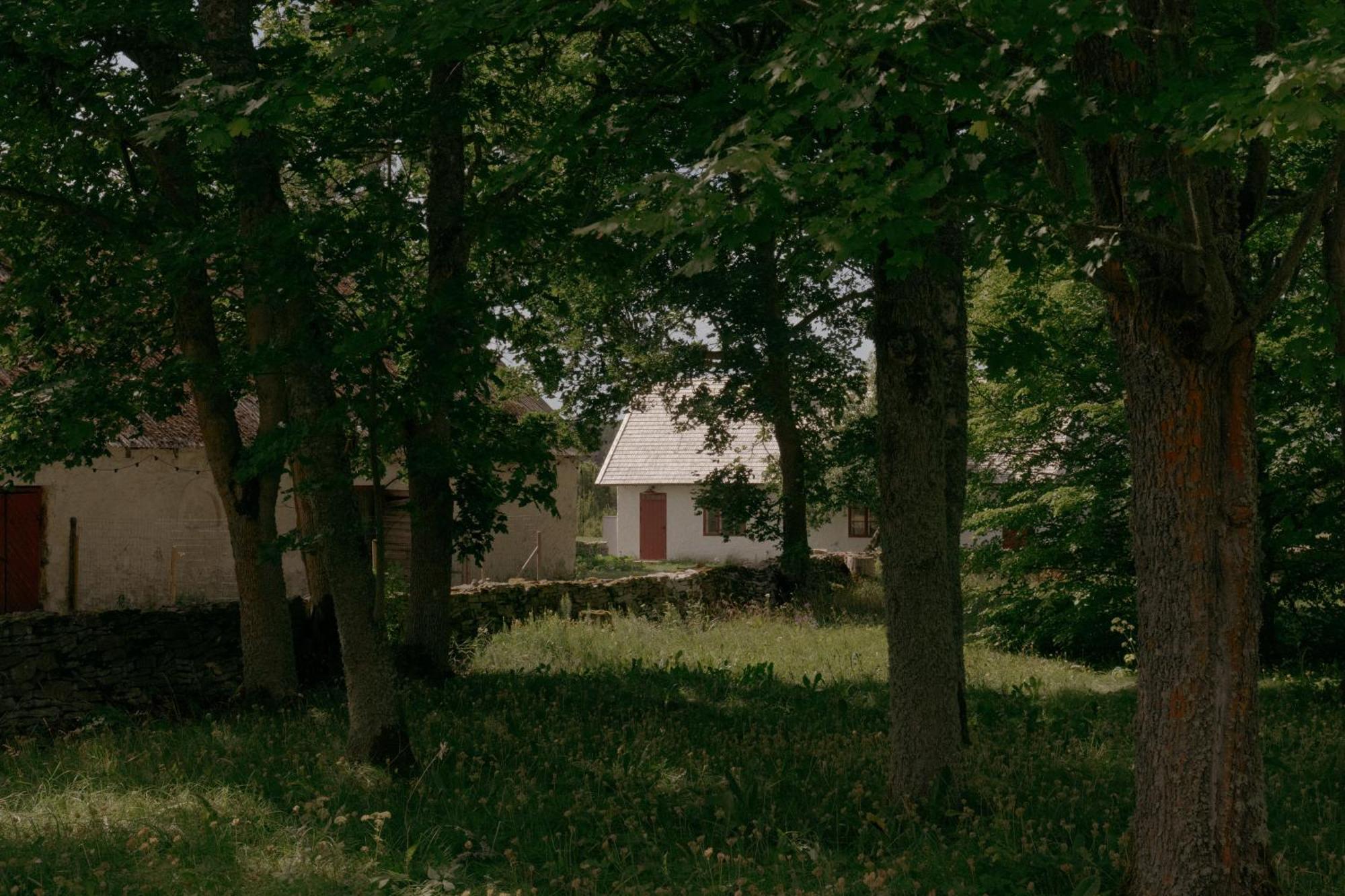 Viešbutis Pilguse Residency Jogela