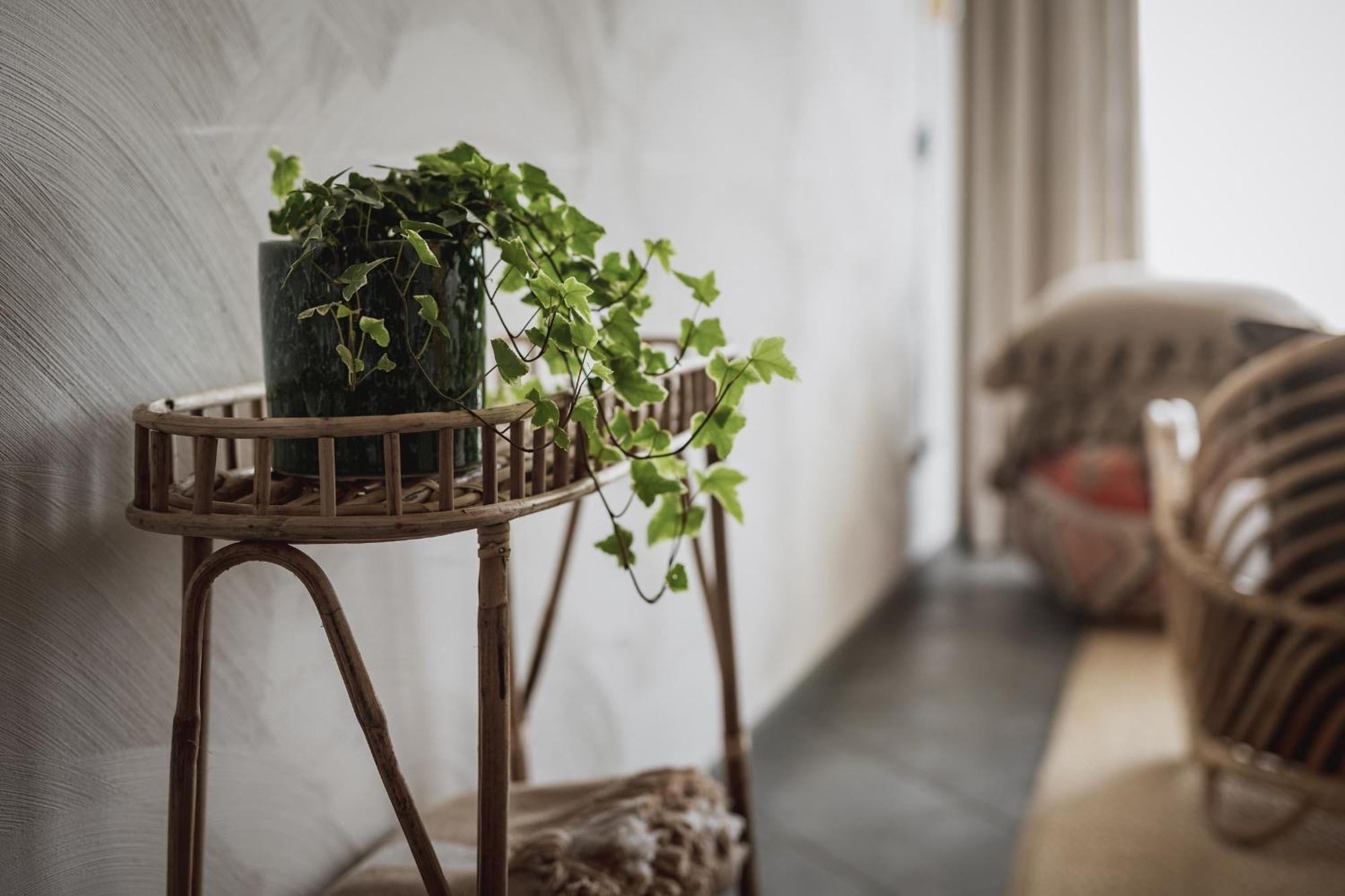 Viešbutis Pilguse Residency 5*